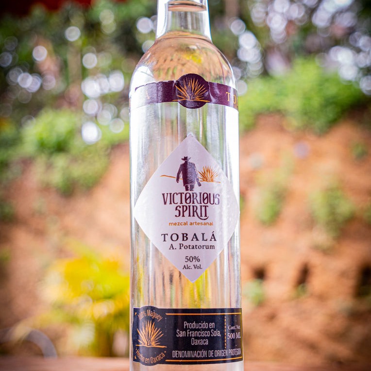 Mezcal Victorious Tobalá